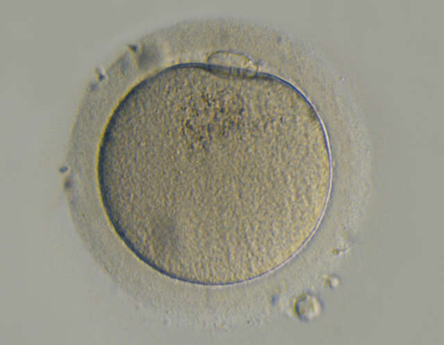 1709363495359843.jpg 1709363495359843.jpg