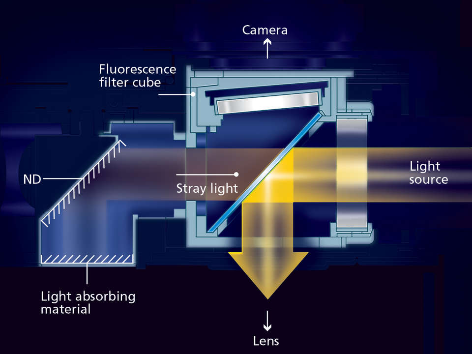 Microscope Microscope