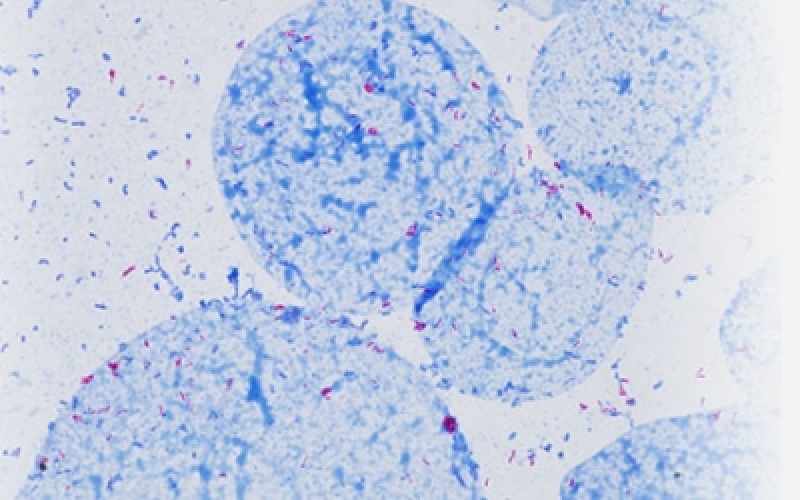 請(qǐng)上傳圖片