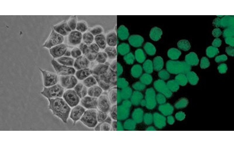 請(qǐng)上傳圖片
