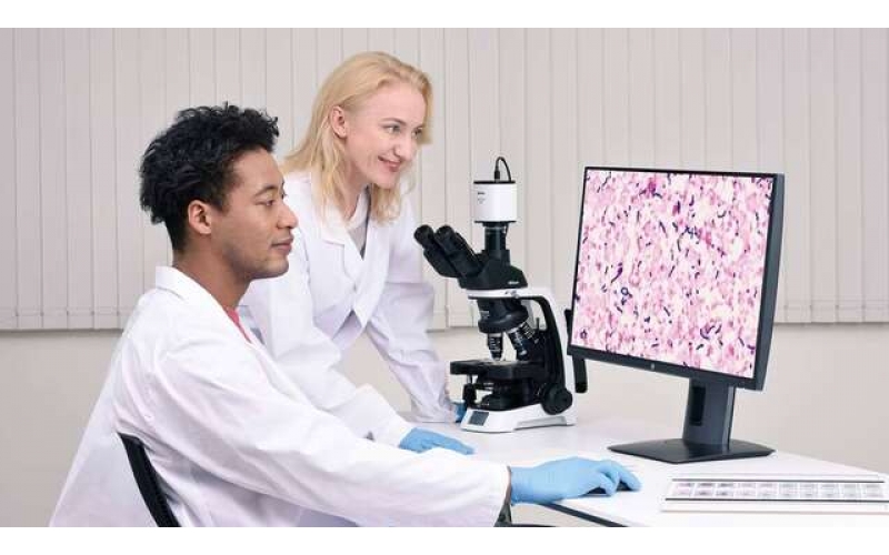 請(qǐng)上傳圖片