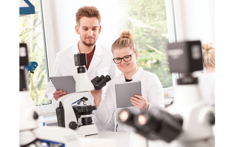 請(qǐng)上傳圖片